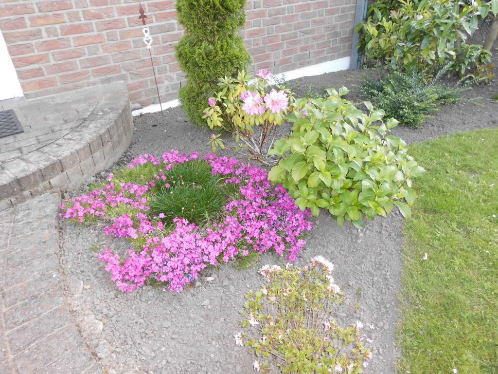 Ferienwohnung Am Selenter See エクステリア 写真