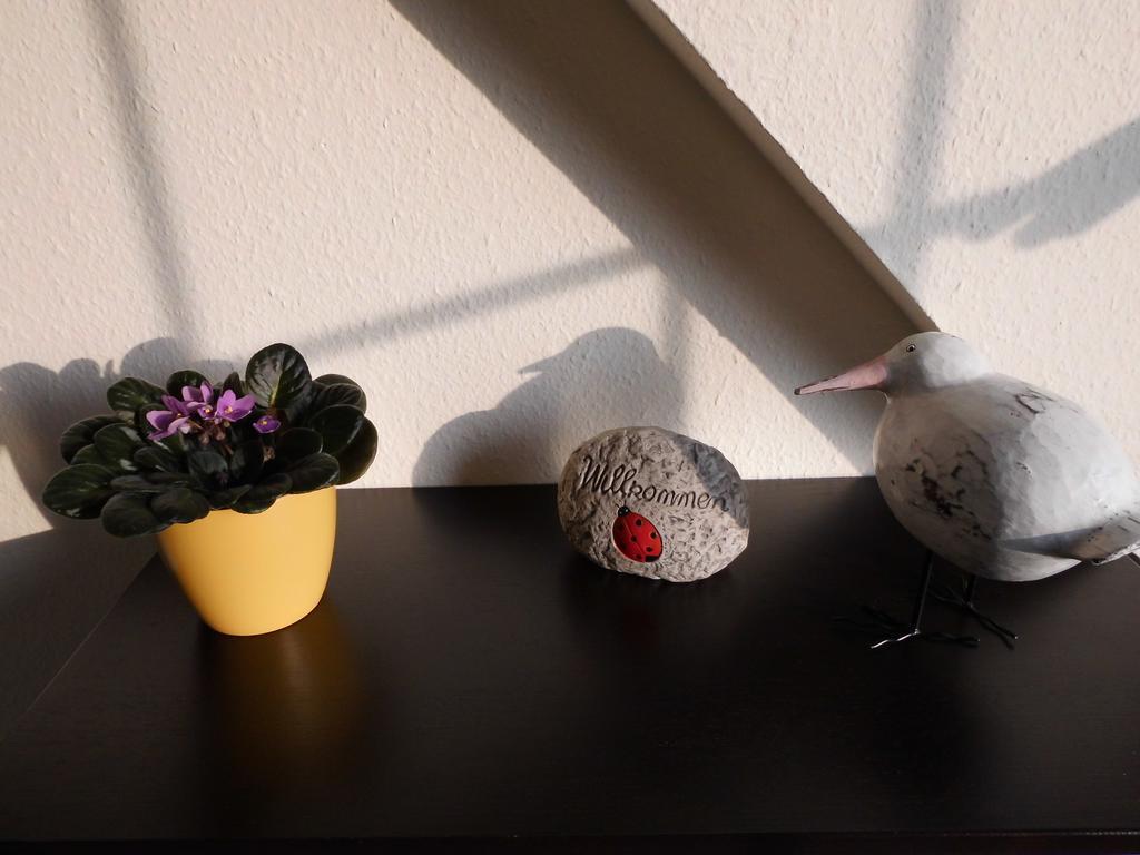 Ferienwohnung Am Selenter See エクステリア 写真
